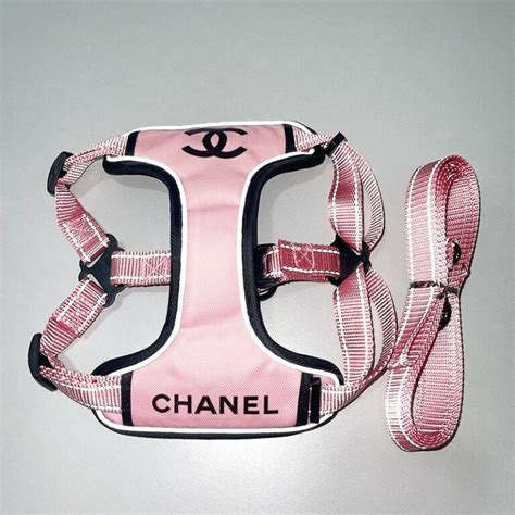 chanel dog coat|Chanel dog collar and leash.